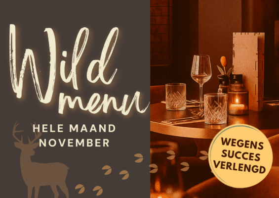 AFbeelding website Lanshuys