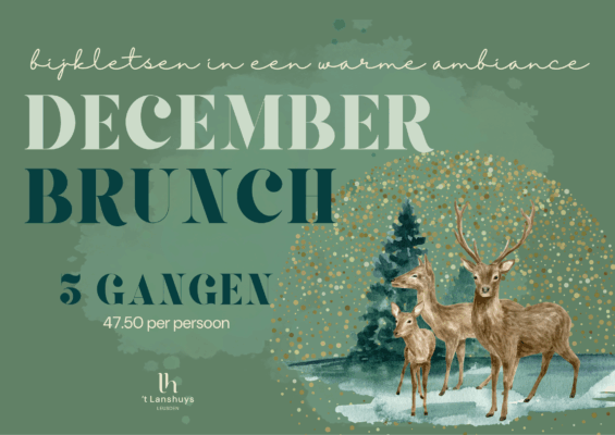 Poster Decemberbrunch Lanshuys 2025 Liggend (1)